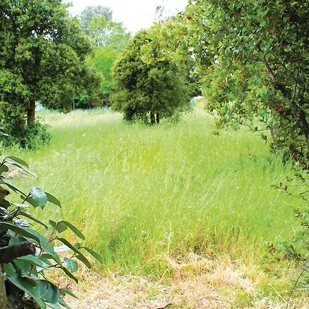 Σπίτι διακοπών Three-bedroom Holiday In Cervione